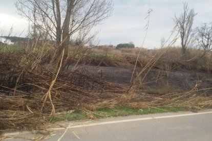 La finca afectada por el incendio del viernes en Vallcalent. 