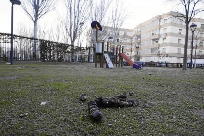 Els veïns denuncien que els excrements són habituals en zones infantils com aquestes de Pardinyes i la Mariola.