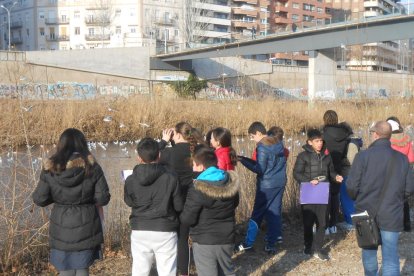 Observaciones de aves junto al río de escolares del Camps Elisis