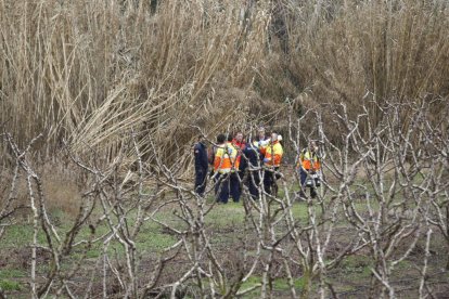 Bomberos, Mossos y técnicos del SEM rescataron el cuerpo del canal entre Lleida y Alcarràs.