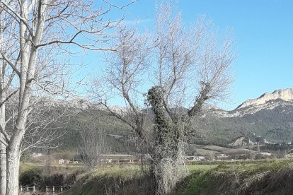 Actual estado del camino junto al río Segre en Oliana.