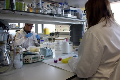 Imatge d’arxiu d’investigadors de l’IRBLleida treballant en un laboratori.