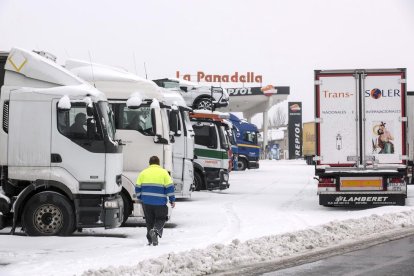 Imatge dels camions que estaven estacionats ahir a la Panadella.