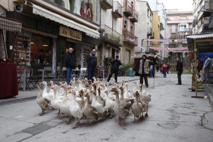 La desfilada d’un ramat d’oques s’ha convertit en un element característic de la fira.