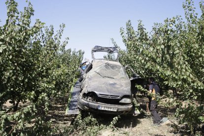 Moment en què la grua retira el cotxe accidentat entre els arbres fruiters.