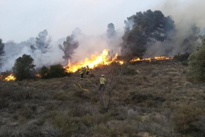 Efectius treballant per sufocar les flames a l’incendi de la Segarra.