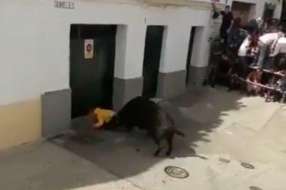 Una de les envestides durant la celebració del Toro de l’Al·leluia.