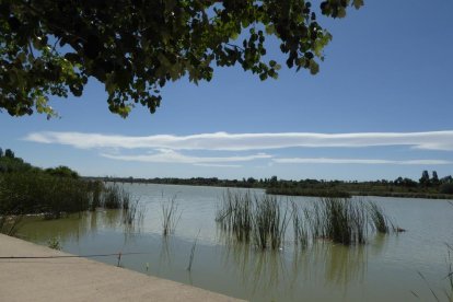 Imagen de archivo del Estant d’Ivars i Vila-sana.