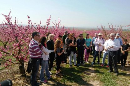 Imagen de una de las visitas guiadas el pasado año en Torres de Segre para disfrutar de la floración.