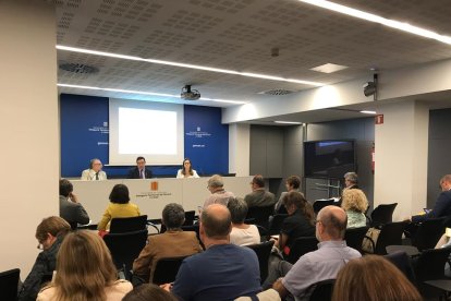 Ramón Farré presidió ayer la reunión plenaria en la delegación de la Generalitat.