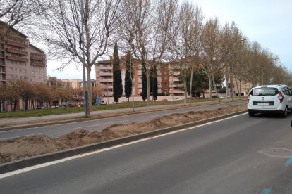 La mitjana d’Onze de Setembre ja té preparada la terra per a la vegetació.