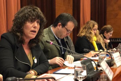 La consellera Teresa Jordà, en un moment de la seua compareixença a la comissió d'Agricultura del Parlament.