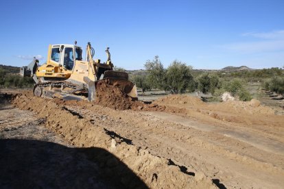 Obres de desbrossament a Cervià de les Garrigues per a la instal·lació de canonades de les xarxes secundària i terciària del canal.