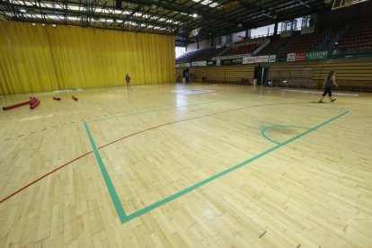 Les línies de porteria, àrea i del centre de la pista es van repintar la setmana passada de color verd.