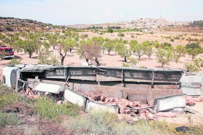 Imatge del camió bolcat després de caure per un terraplè a Maldà.