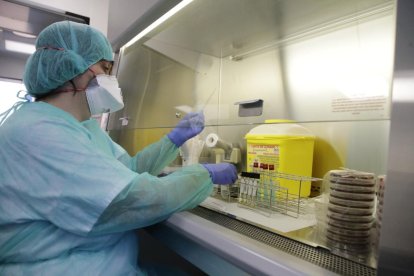 El nuevo laboratorio de Microbiología del hospital Arnau de Vilanova de Lleida.