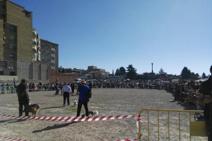 Una demostración de doma durante la edición del pasado año.