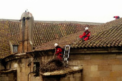 Retirada dels nius dels contraforts dijous passat.