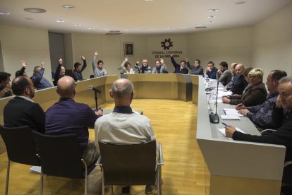 Imatge d’arxiu del ple del consell de la Segarra.