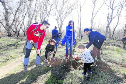 Algunos de los participantes en la plantación de árboles para reforestar la Mitjana.