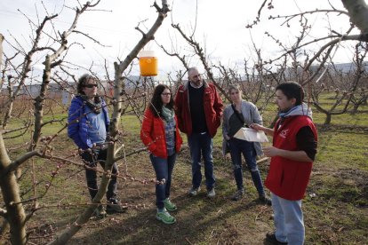 Una de las dos visitas que se llevaron a cabo ayer en Aitona en los campos de frutales.