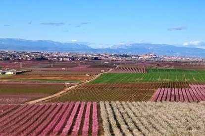 ¡Árboles en flor, campos verdes y buen tiempo...ya está aquí la primavera!