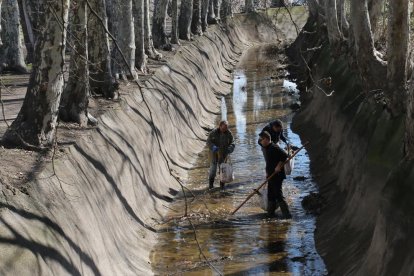 Algunos de los voluntarios de La Banqueta de Juneda que limpiaron el interior de la acequia.