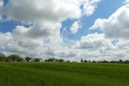 ¡Árboles en flor, campos verdes y buen tiempo...ya está aquí la primavera!