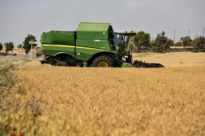 Imatge d’arxiu de collita de cereals en una finca de la Segarra.