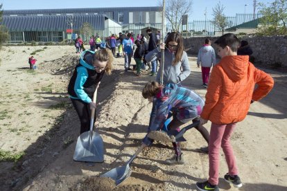 Els estudiants de Cervera van plantar ahir arbres al nou parc natural de la ciutat.