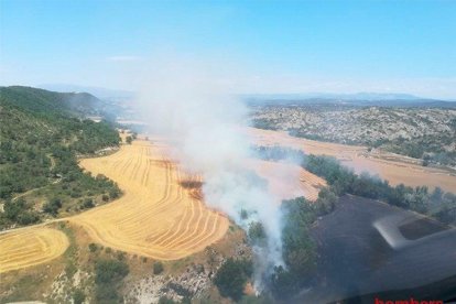 Un incendi crema 7 hectàrees de vegetació a Massoteres