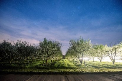 França prohibeix els pesticides amb metasodi per risc sanitari i ambiental