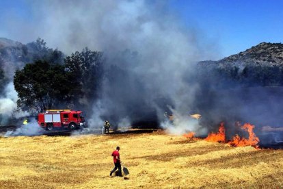 El fuego de Massoteres calcinó cinco hectáreas de cultivos y dos de bosque de ribera.  