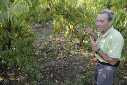 Un agricultor revisando el martes una finca tras la tormenta de granizo.