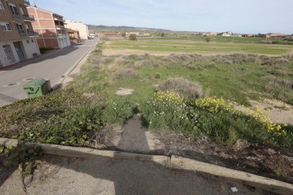 Els terrenys on es construirà la nova escola d’Almenar, projectada fa catorze anys.