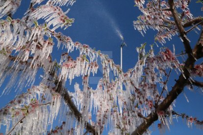 Gelades als camps de Lleida del 2 d'abril de 2022