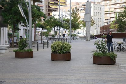 Imagen de las jardineras que han sido instaladas en el acceso a Ricard Viñes por Bisbe Ruano.