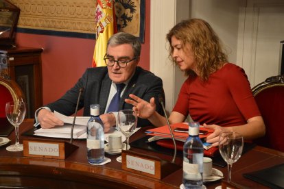 Ros, durante su intervención ayer en el Senado.