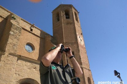 Un rural observa des de l’església de Santa Maria de Balaguer.