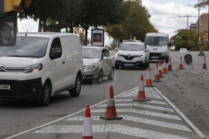 Cues per la poda a Francesc Macià