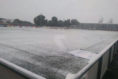 El camp de l'Alpicat mostrava ahir aquesta imatge nevat