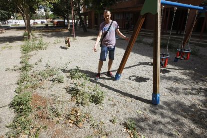 Arbustos descontrolados en una avenida leridana. 