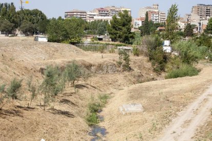 El curs del riu Ondara, ara pràcticament en estiatge.