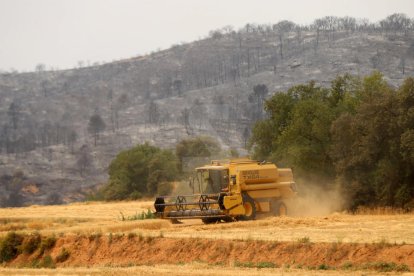 Tierra quemada después del incendio de Baldomar