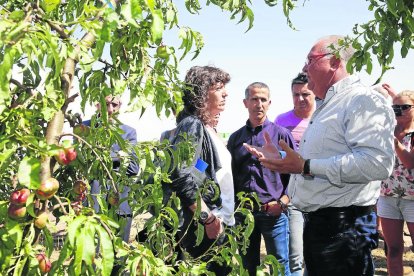 La consellera escolta les explicacions del president de Fruits de Ponent davant l’alcalde d’Alcarràs.