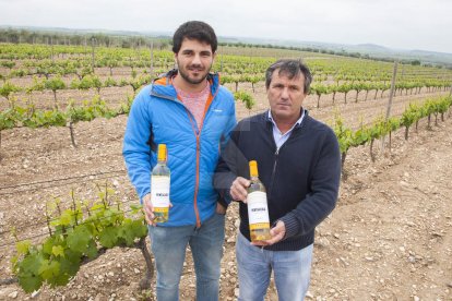 Premi per a dos vins de la vall del Corb