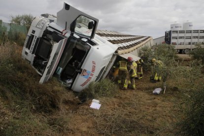 Més d’un centenar d’animals morts - Com conseqüència de l’impacte en un dels encreuaments de l’N-240, van morir la meitat dels 210 porcs que viatgen al camió. Una grua de l’empresa transportista es va encarregar durant part del matí  ...