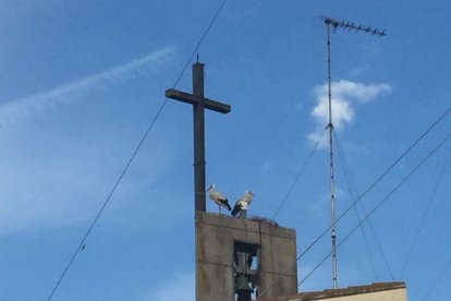 Una pareja de cigüeñas, ayer en el campanario de Gardeny. 