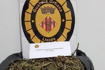 Els 4.940 grams de marihuana comissats en una furgoneta.