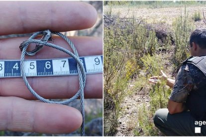 Un rural con una trampa hallada en Cervià de les Garrigues. 